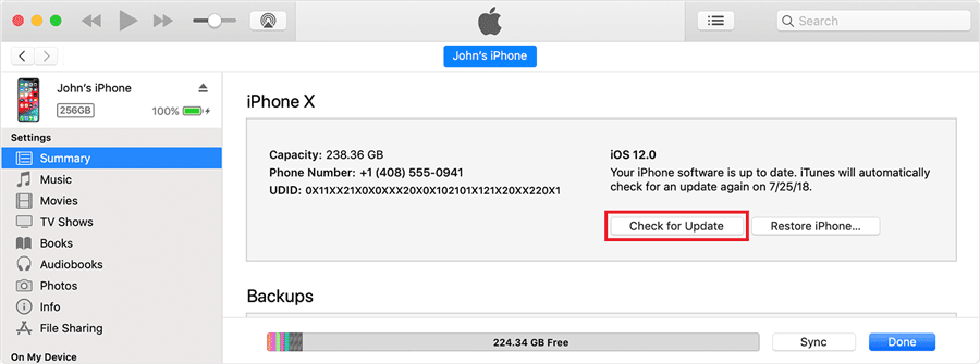 Update iPhone in iTunes