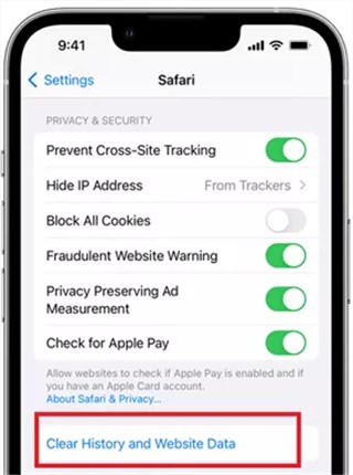 Tap Clear History and Website Data