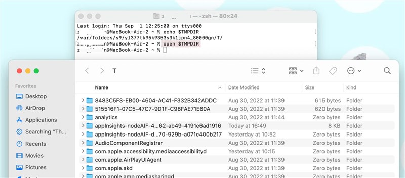 Access Temporary Items