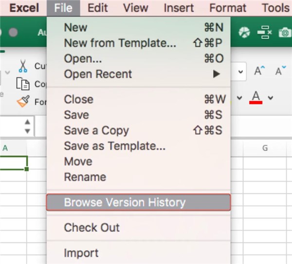 Choose Browse Version History