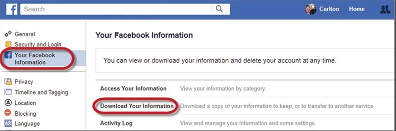 Click Download Your Information