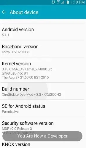 Activate Developer Mode