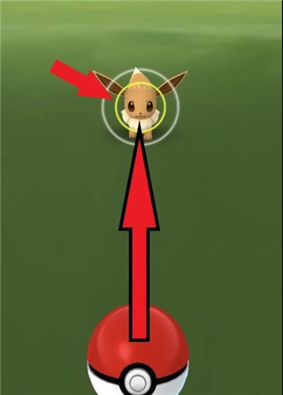 Hold and Shrink Poke Ball