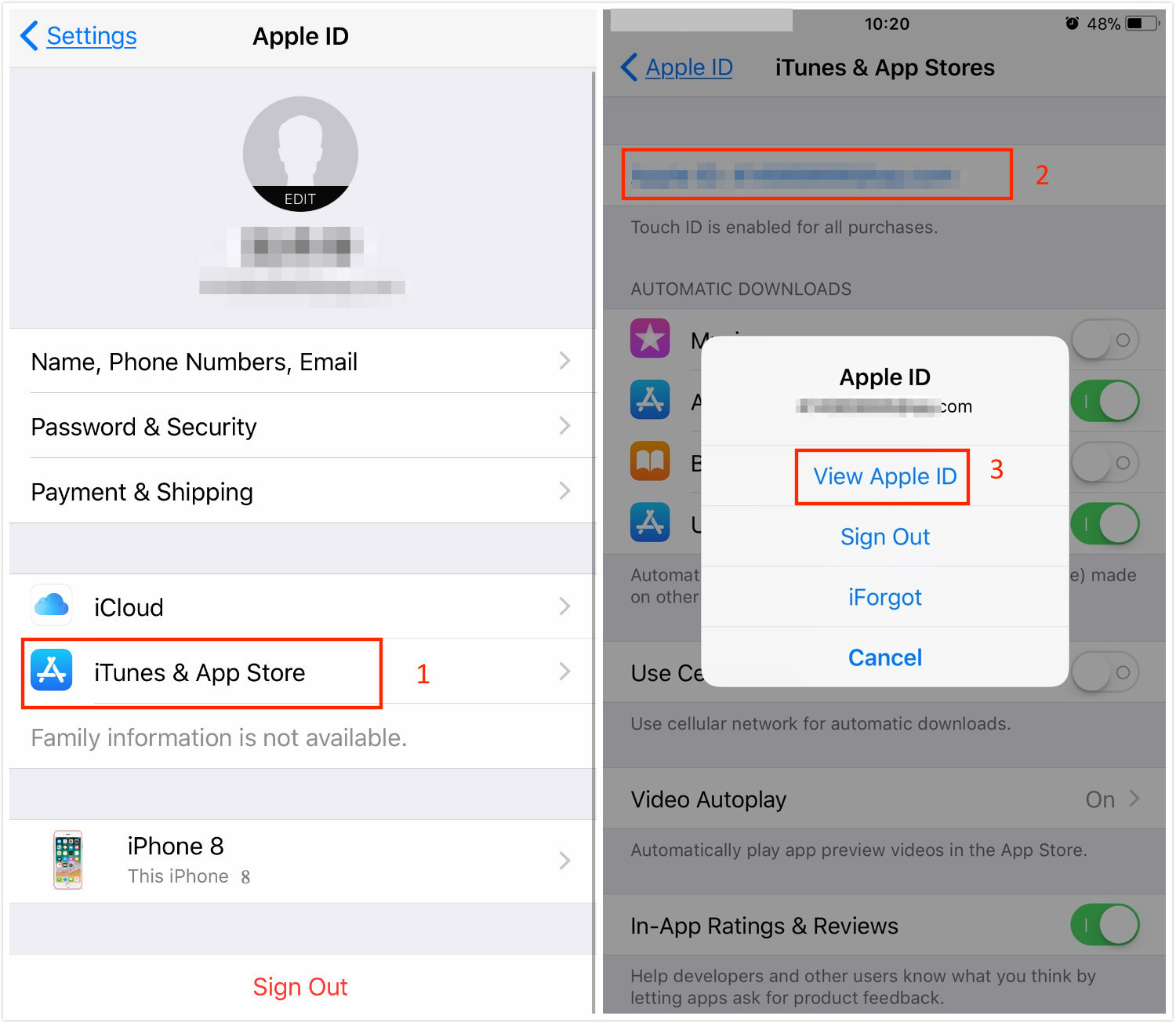 View Apple ID