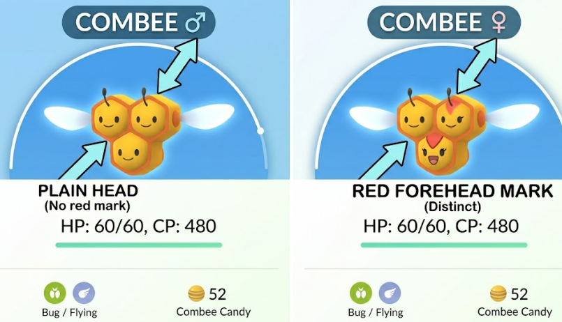 Combee evolution gender difference