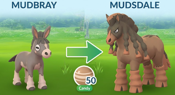 Comparison of Mudbray