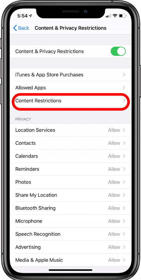 Content & Privacy Restrictions