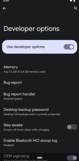 Developer options
