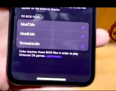 nintendo ds bios