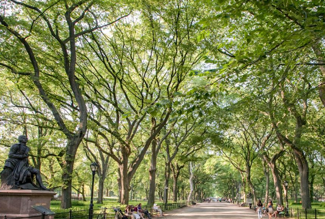 The Mall and Literary Walk