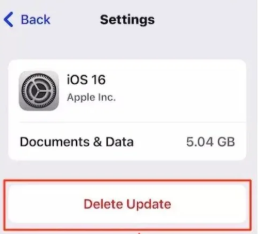 Delete Update