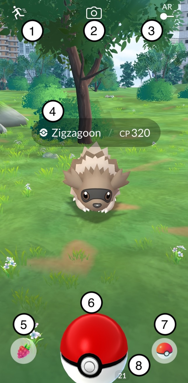 Catching a wild Pokémon