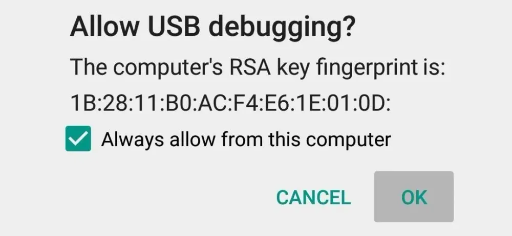 Allow USB debugging from this computer