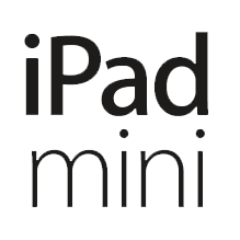 What iPad mini Customers Need