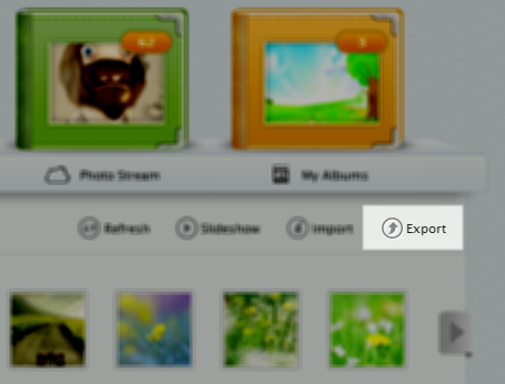 Export Photos