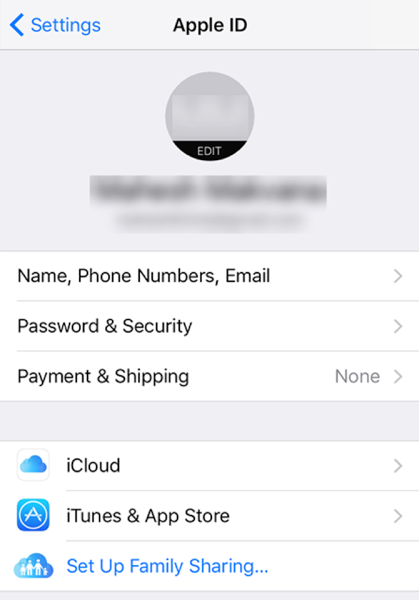Access the iCloud Sync Options on iOS Device