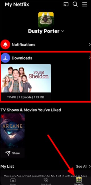 Access Download Folder