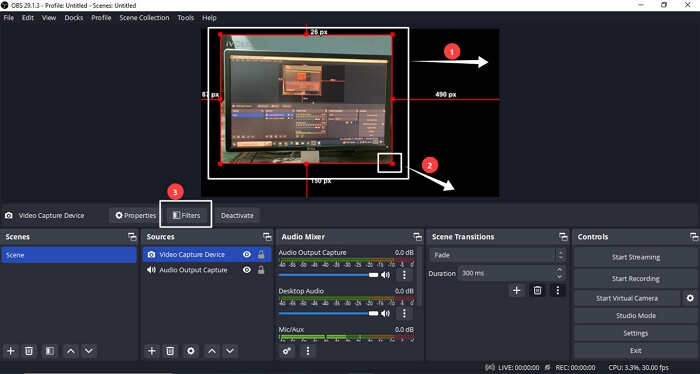 Adjust the size, location, and filters of your video source in OBS