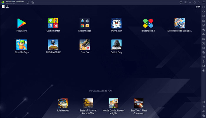 Bluestacks Overview