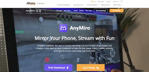 Anymiro Official Webpage Interface