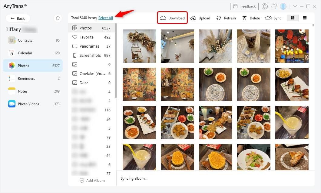 Select Photos and Click Download Button