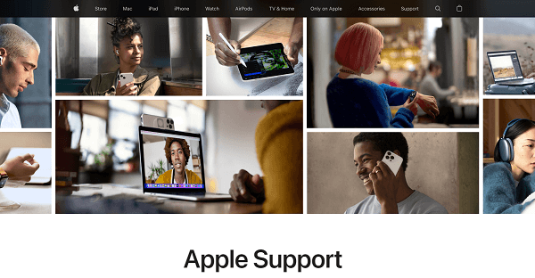 Apple Support Webpage Interface