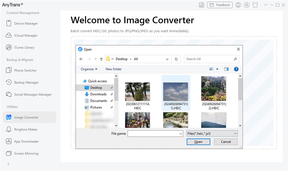 Choose HEIC Files Needed to be Converted