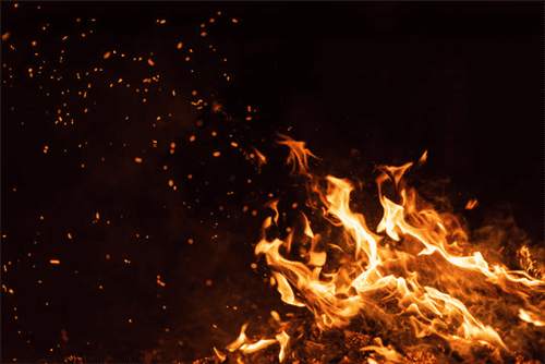 Burning Branches Overlay