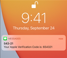 Can't Receive Verification Code