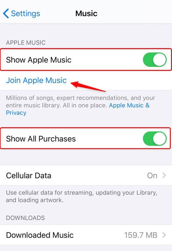 Check Apple Music Setting on iPhone