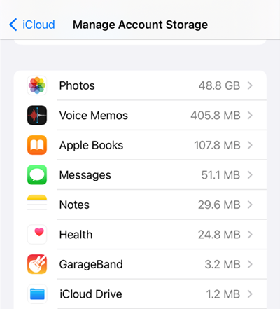 Check iCloud Backup Storage