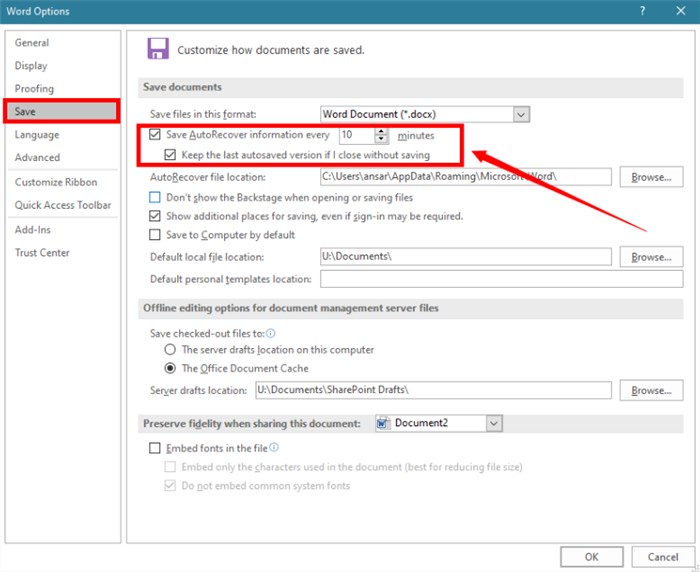 Check Options to Enable AutoRecover