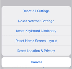 Choose Reset Network Settings Option