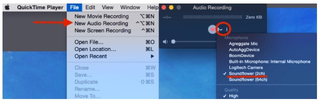 choose soundflower (2ch) as your microphone