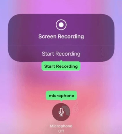 Choose Start Recording