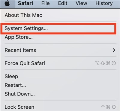 Choose System Settings
