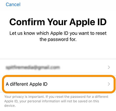 Choose the Apple ID to Reset the password
