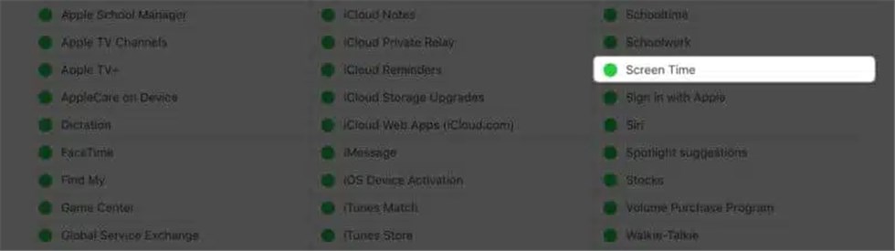 Check Screen Time Service Status