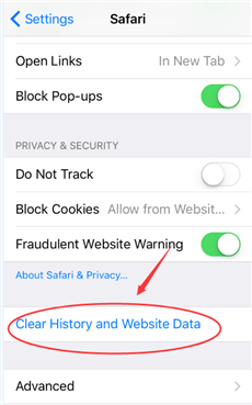 Clear iPhone Browsing History to Fix iPhone Slow Internet
