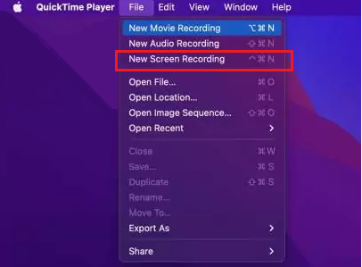 can i screen record whatsapp audio call