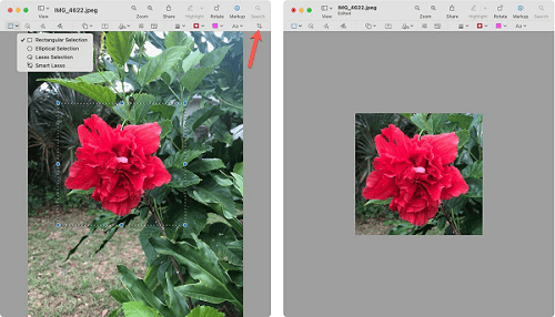 Crop Images on A Computer on Mac