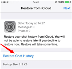 Tap on Restore Chat History