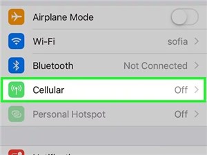 Tap on the Cellular Option