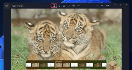 Crop Images on A Computer