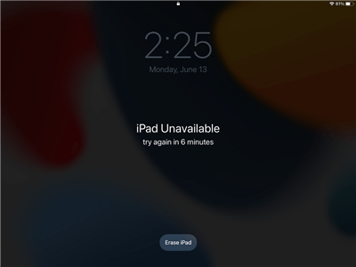 Click on Erase iPad Option