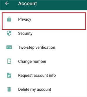 Tap on the Privacy option