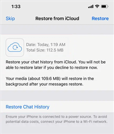 Click Restore Chat History