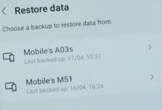 Click Restore Data