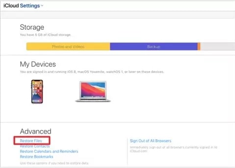 Click Restore Files