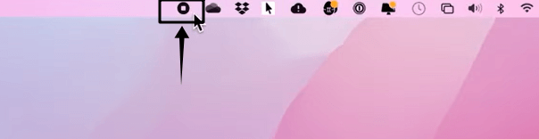 Click on the "Stop" button to end the recording